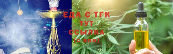 индика Аркадак