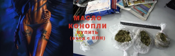 индика Аркадак