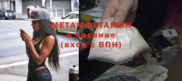 индика Аркадак