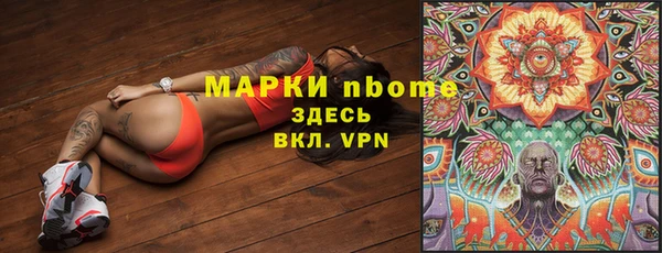 стафф Арсеньев