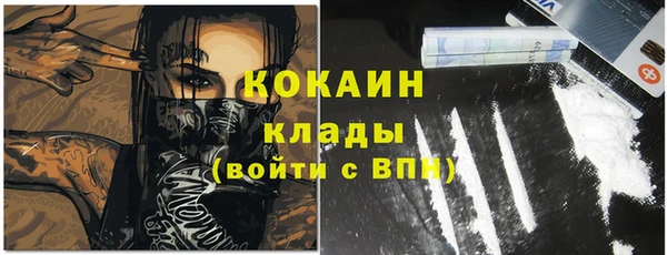 стафф Арсеньев
