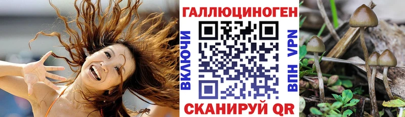 Галлюциногенные грибы Psilocybine cubensis Окуловка
